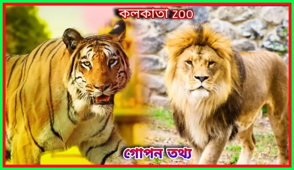 চিড়িয়াখানার গোপন তথ্য: